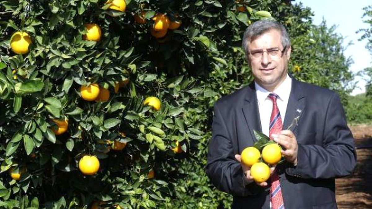 Çukurova\'da Üreticiye Don Uyarısı