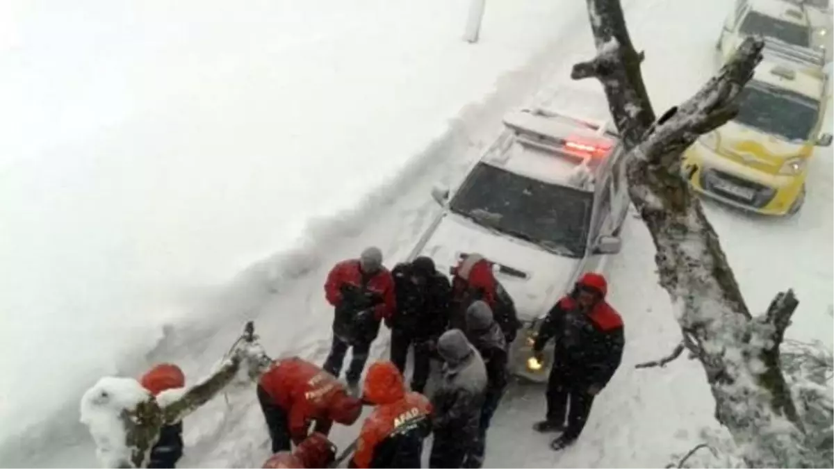 Devrilen Ağaçlar Uludağ Yolunu Trafiğe Kapattı