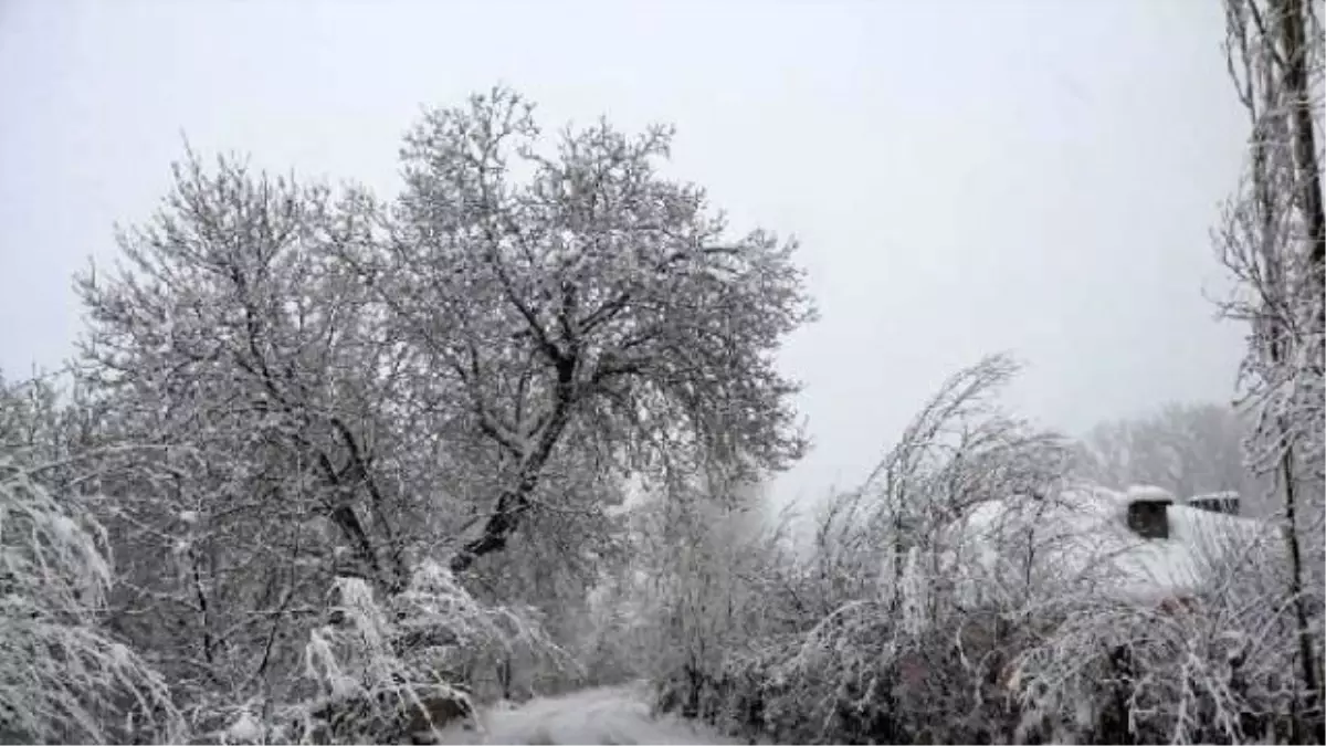 Doğu Kara Gömüldü, Hakkari\'de Okullar Tatil (3)