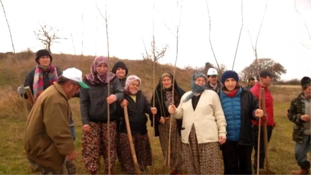 Malkara\'da 500 Fidan Toprakla Buluştu