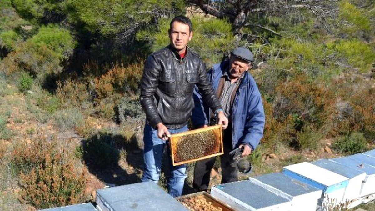 Datça Balı Amerika\'dan Birincilikle Döndü