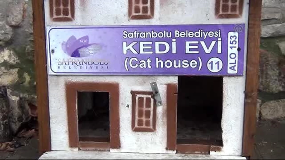 Safranbolu\'nda Kediler İçin Özel Barınak