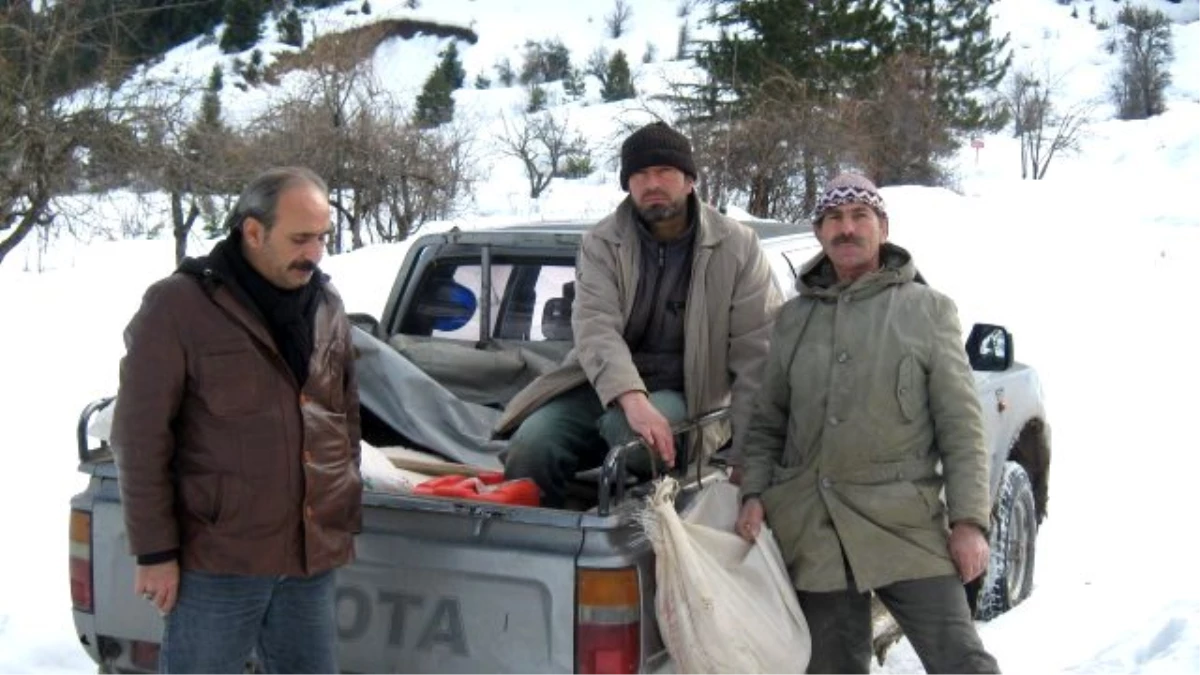 Konya\'da Yabani Hayvanlar İçin Doğaya Yem Bırakıldı