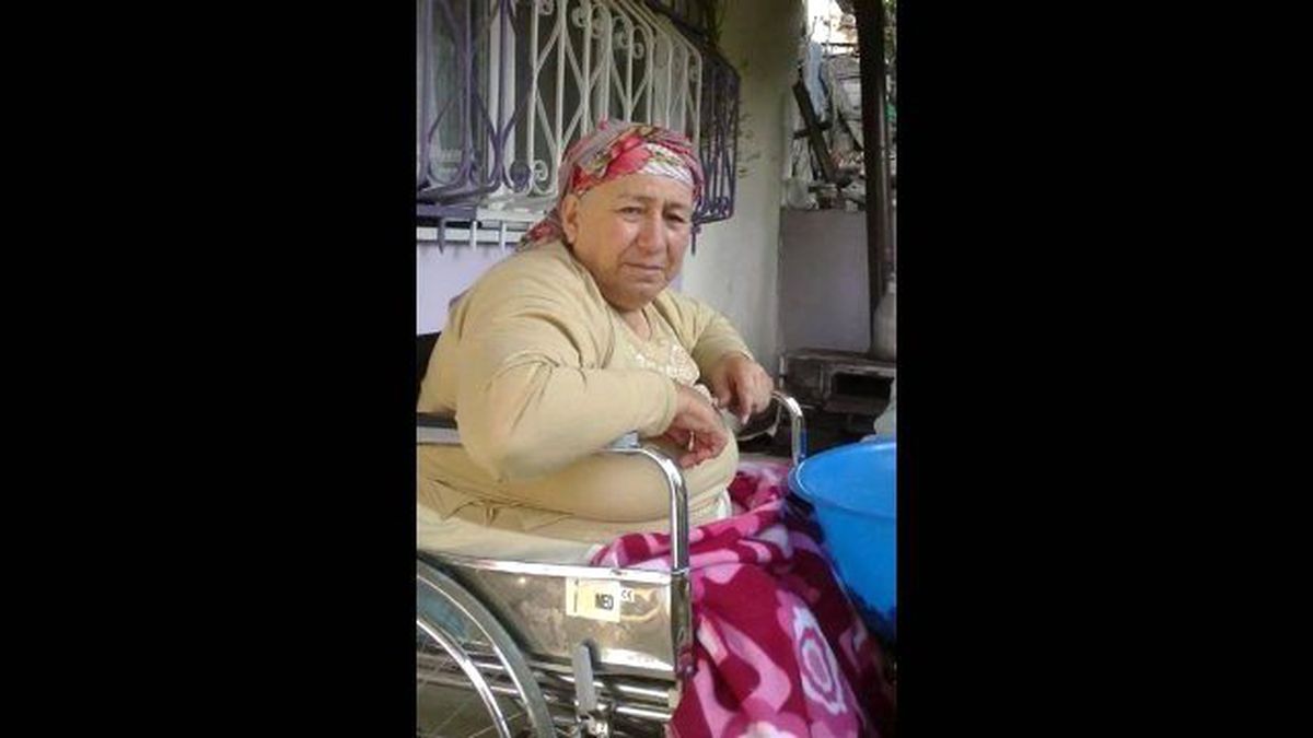 Cemile Ninenin Akülü Engelli Aracı İsteği