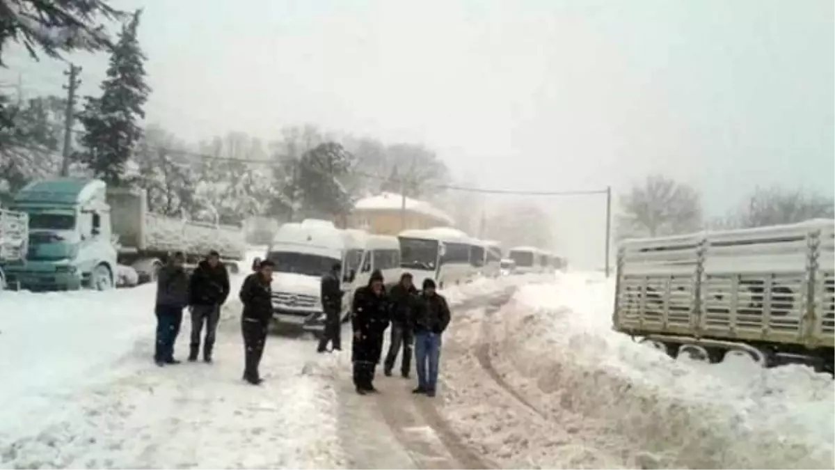 Dağ Yolunda Kar Çilesi