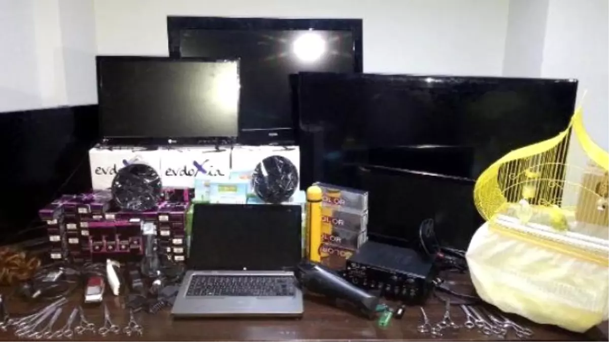 Hırsızlar 2 Muhabbet Kuşunu da Çaldı