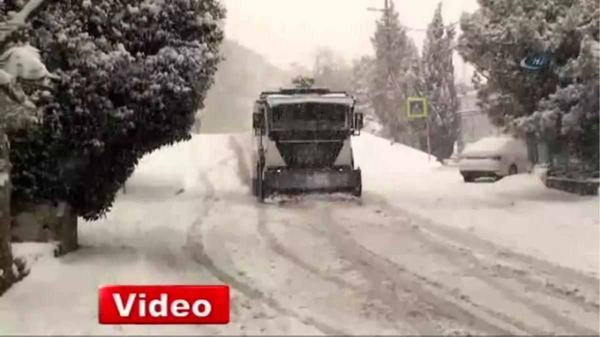 Toma Bu Kez Karla Kaplı Yolu Açtı