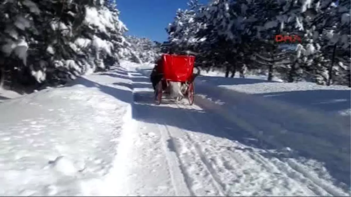 Bolu - Abant Gölü Buz Tuttu