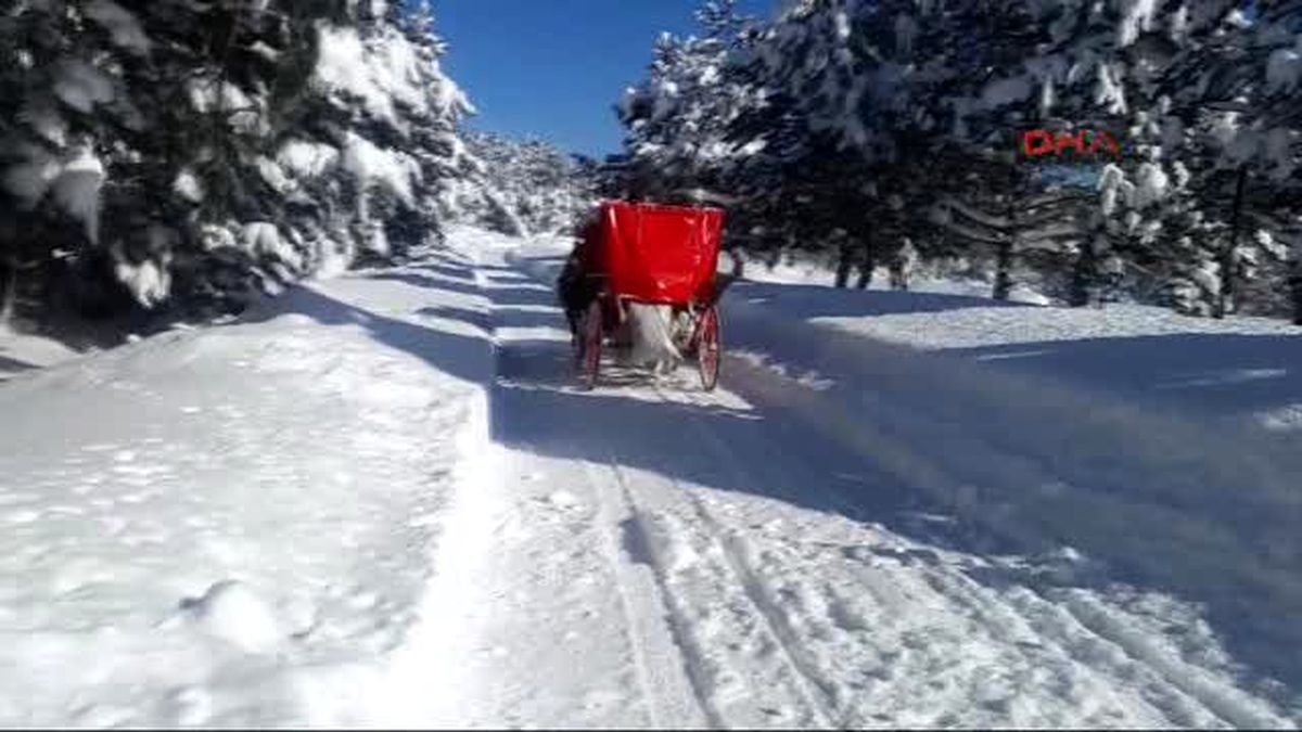 Bolu Dağına Çığ Düştü