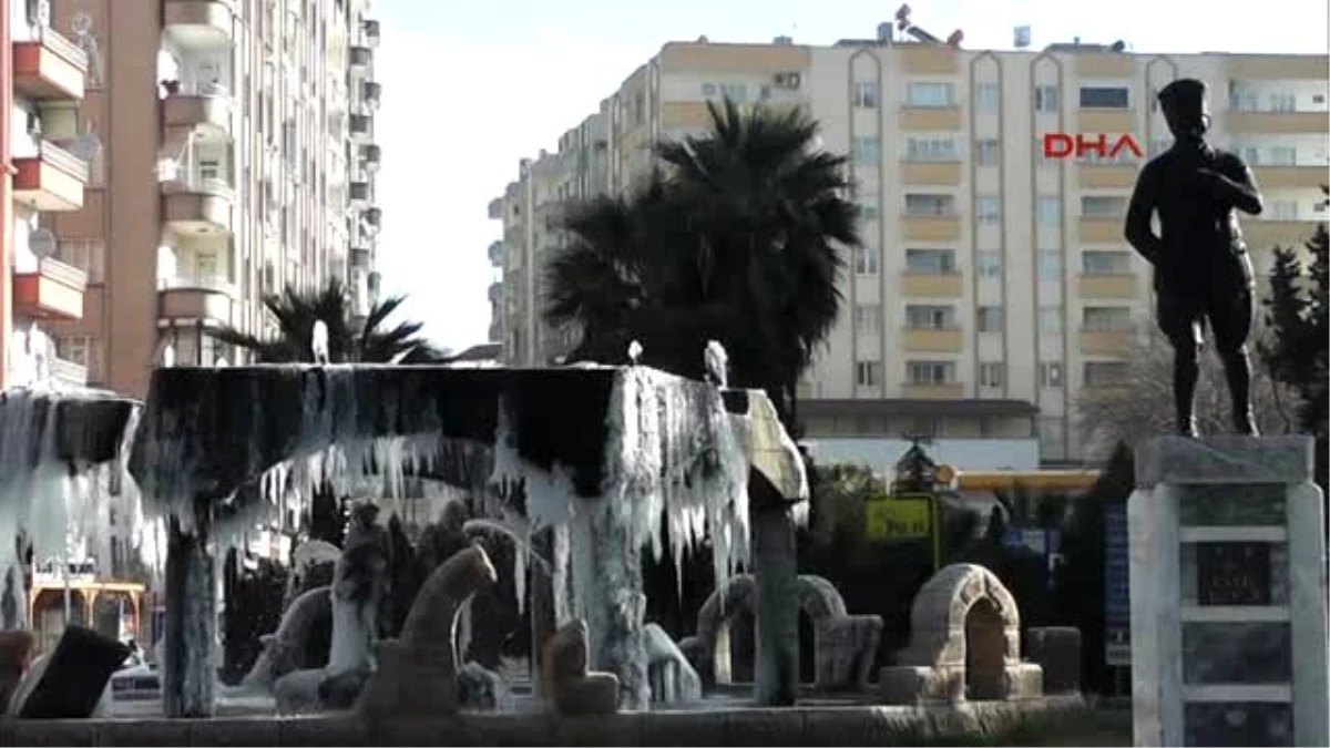 Nizip\'te Soğuk Hava Süs Havuzlarını Dondurdu