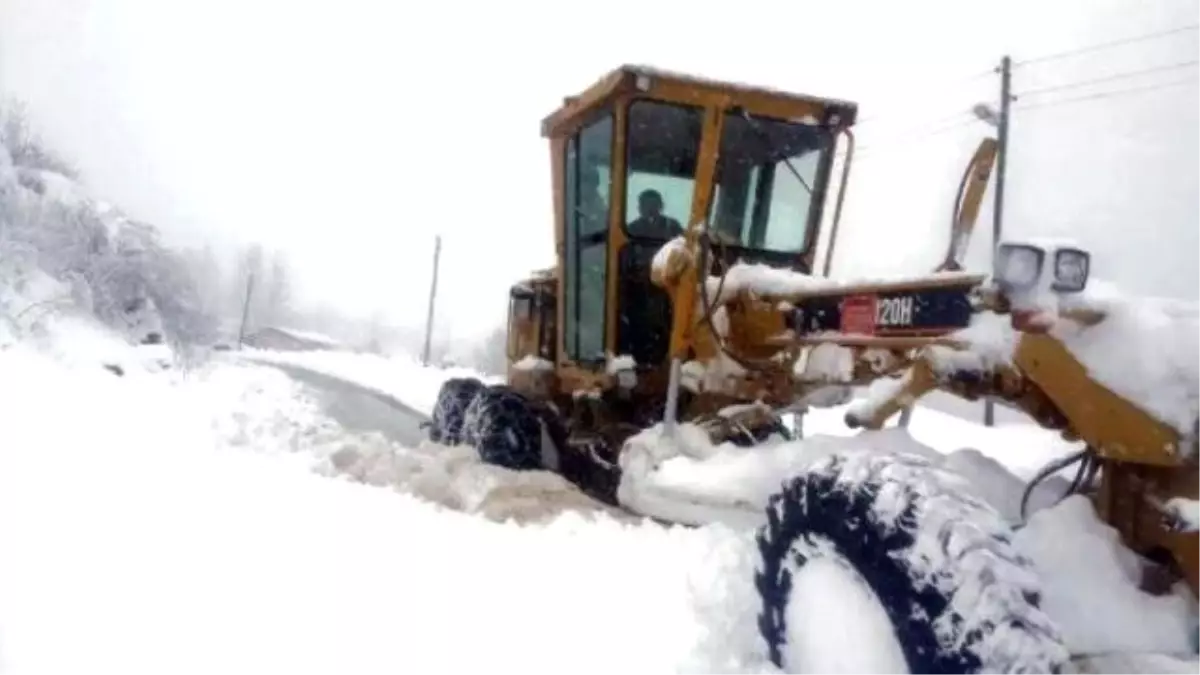 Ordu\'da Kar Kalınlığı 1 Metreyi Aştı