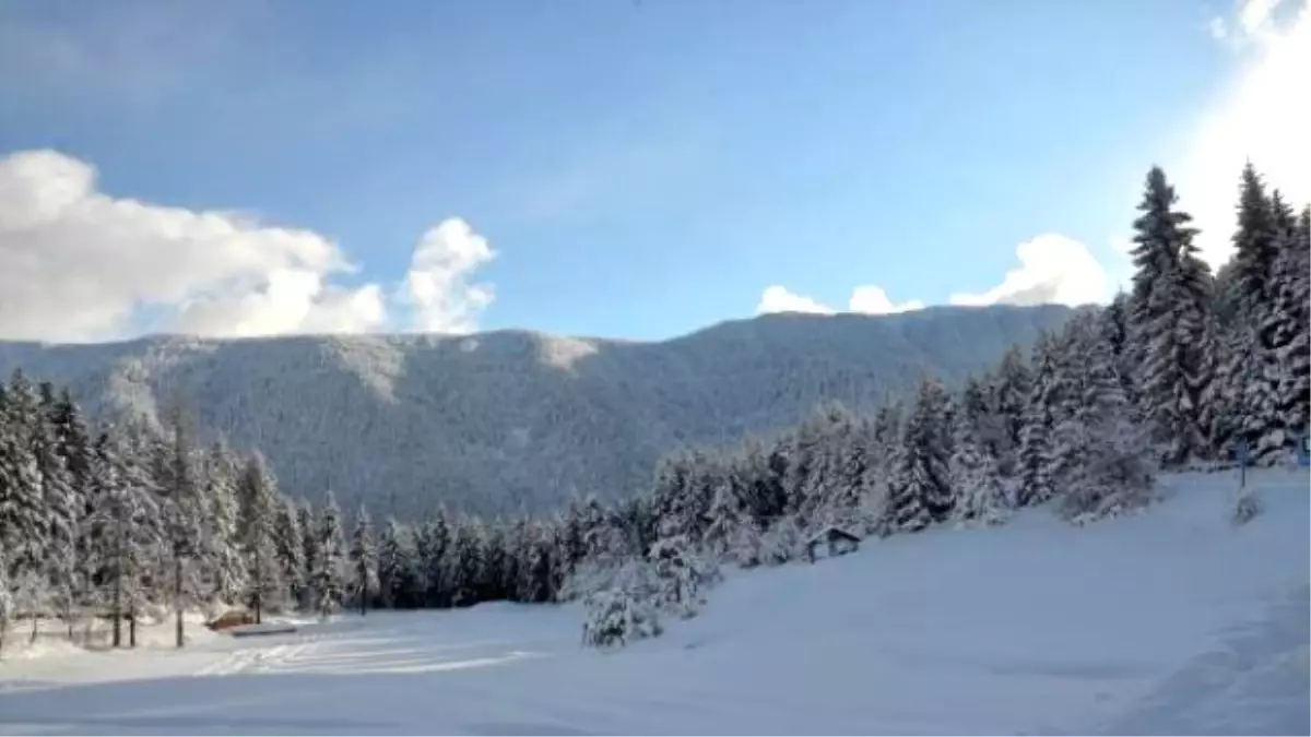 Artvin\'de Yaban Hayvanları İçin Doğaya Yiyecek Bırakıldı