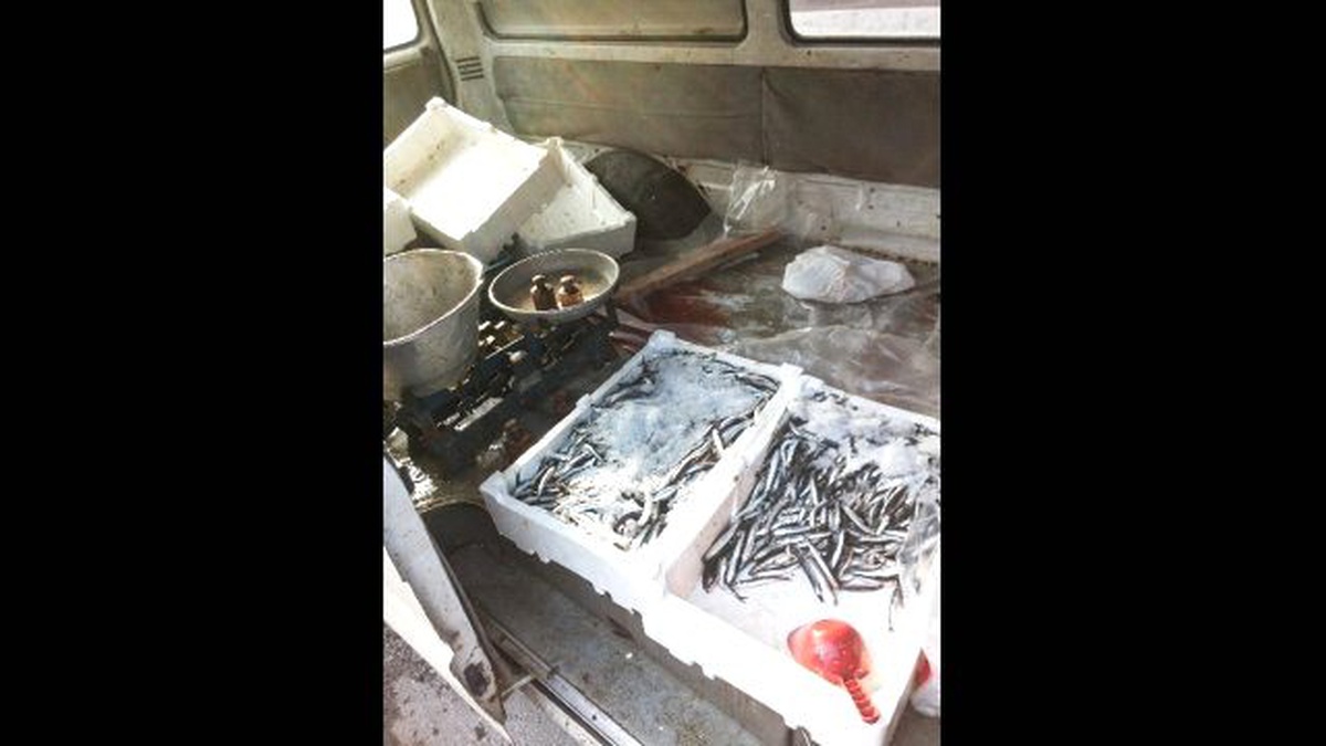 Sincan Belediyesi Zabıta Ekiplerinden Balık Operasyonu
