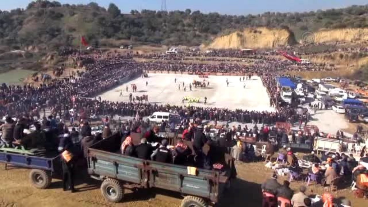 Aydın\'da Deve Güreşi İzlerken Kalp Krizi Geçiren Kişi Öldü