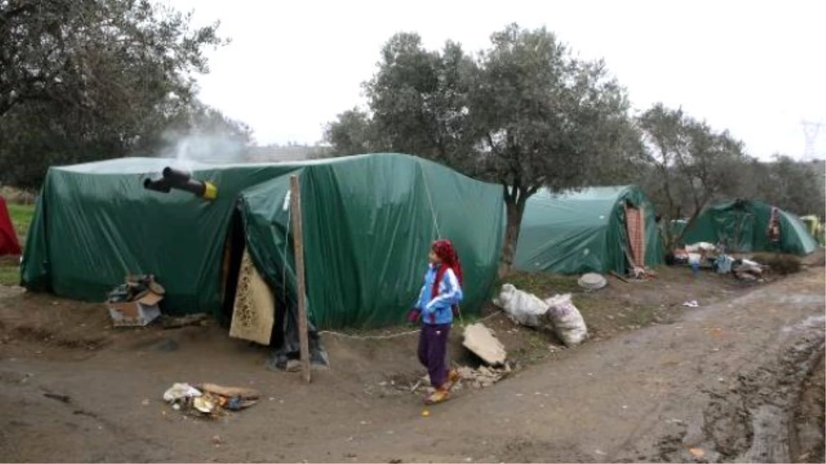 İzmir\'de 800 Sığınmacının Çadırlarda Yaşam Mücadelesi