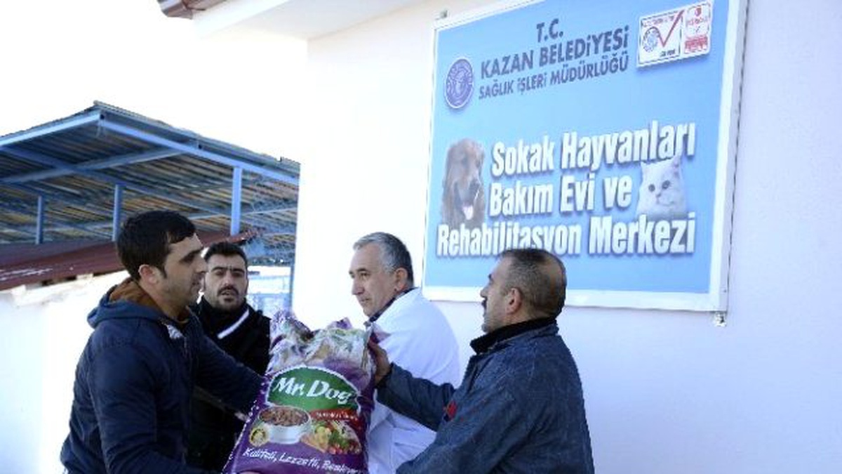 Kazan\'da Sokak Hayvanlarına Yiyecek Bırakıldı
