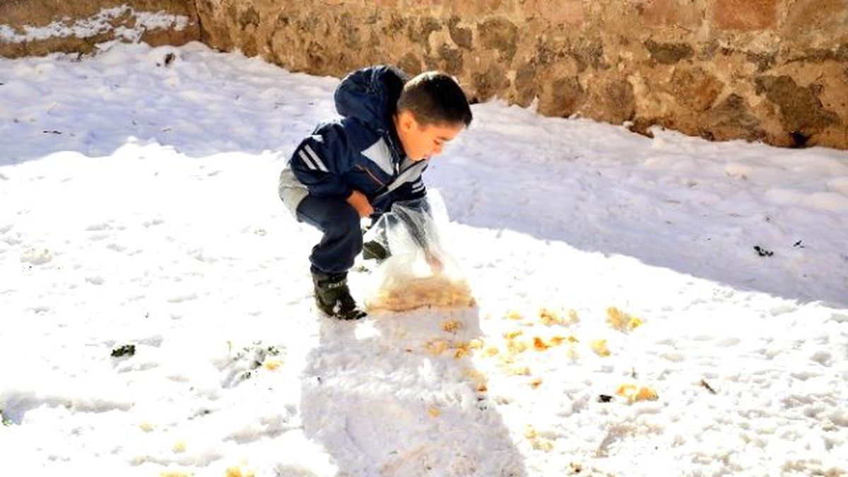 Minicik Yüreği ile Kuşlara Yem Attı