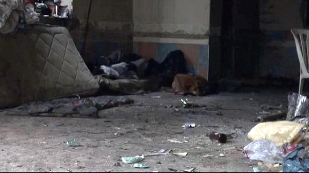 Şişli\'de En Sadık Dostu Ölümünde Bile Yalnız Bırakmadı