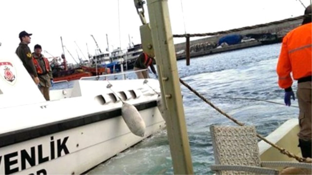 Samsun\'da Avcıları Taşıyan Teknenin Alabora Olması
