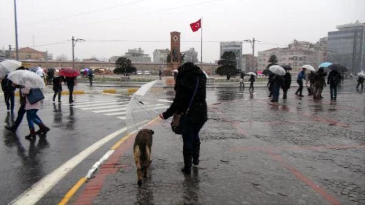 Sokak Köpeğine Şemsiye Tuttu
