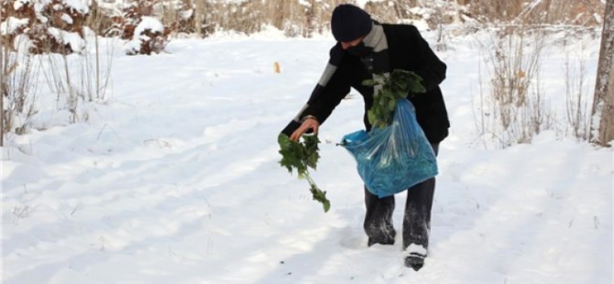 Kayseri\'de Yaban Hayvanlarına Yem Desteği