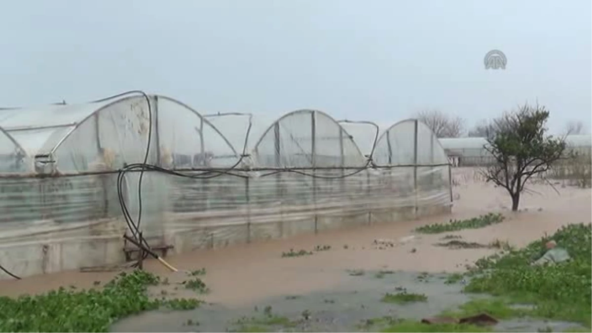 Kumluca\'da Kuvvetli Yağış ve Fırtına Tarım Alanlarına Zarar Verdi
