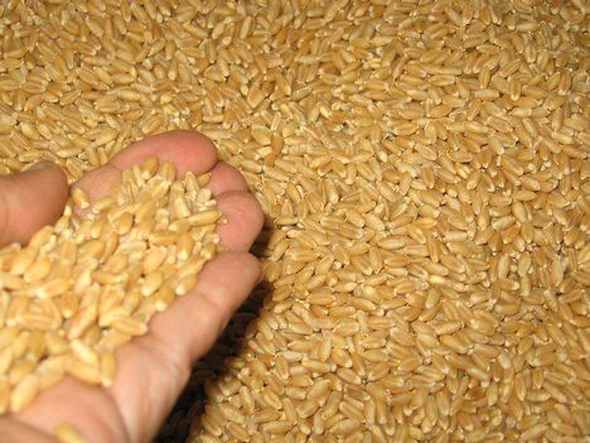 Şanlıurfa Ticaret Borsası