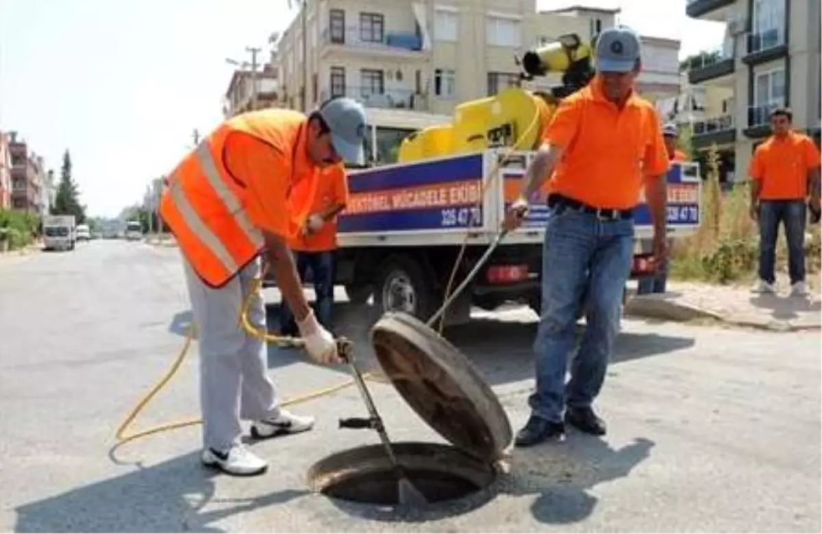 Antalya\'da Sinekle Mücadele İçin Bin Kişilik Ekip