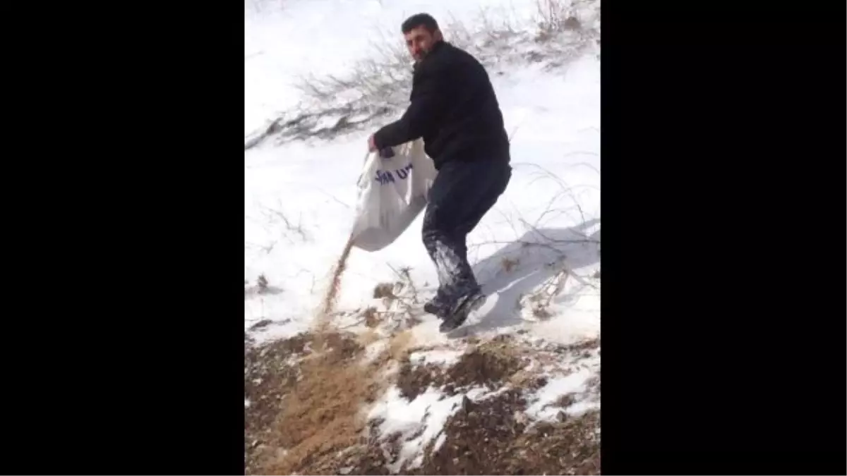 Avcılar Öldürmek İçin Değil Yaşatmak İçin Dağa Çıktı