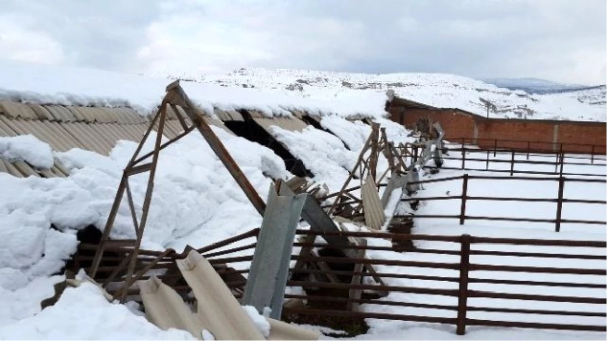 Hisarcık\'ta Kar Yağışından Zarar Gören İşletmelerde Zarar Tespit Çalışmalarına Başlandı