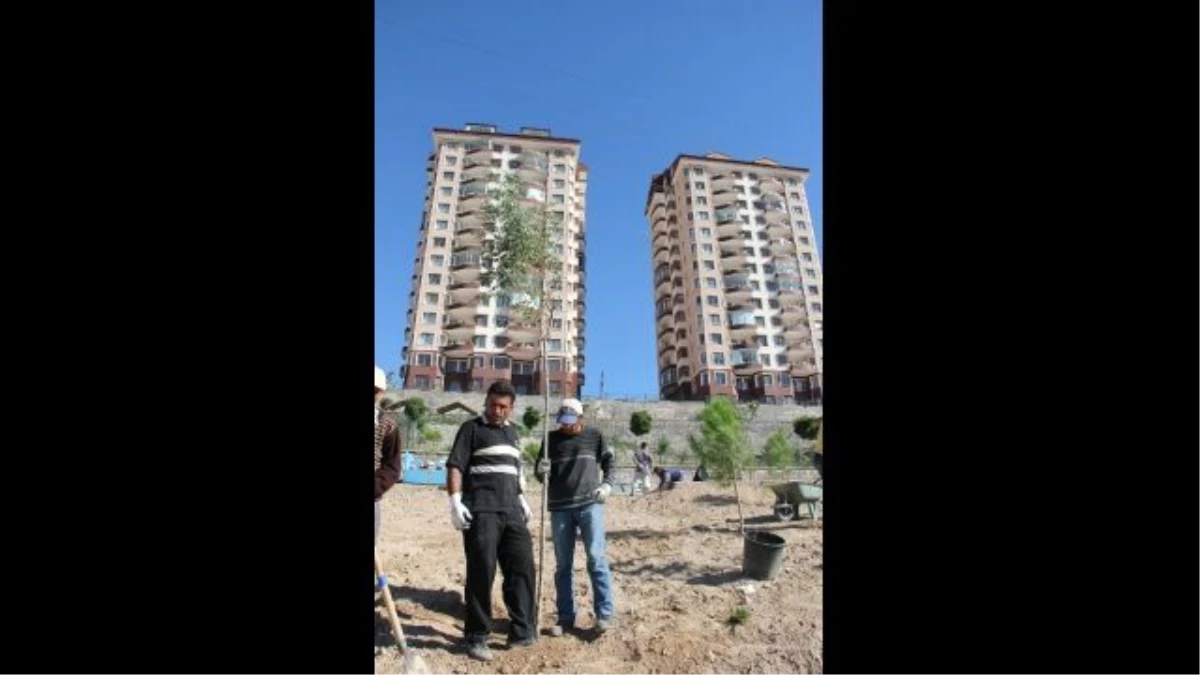 Nevşehir\'de, 48 Bin 726 Metrekarelik Alan Daha Yeşil Alan Haline Getirildi