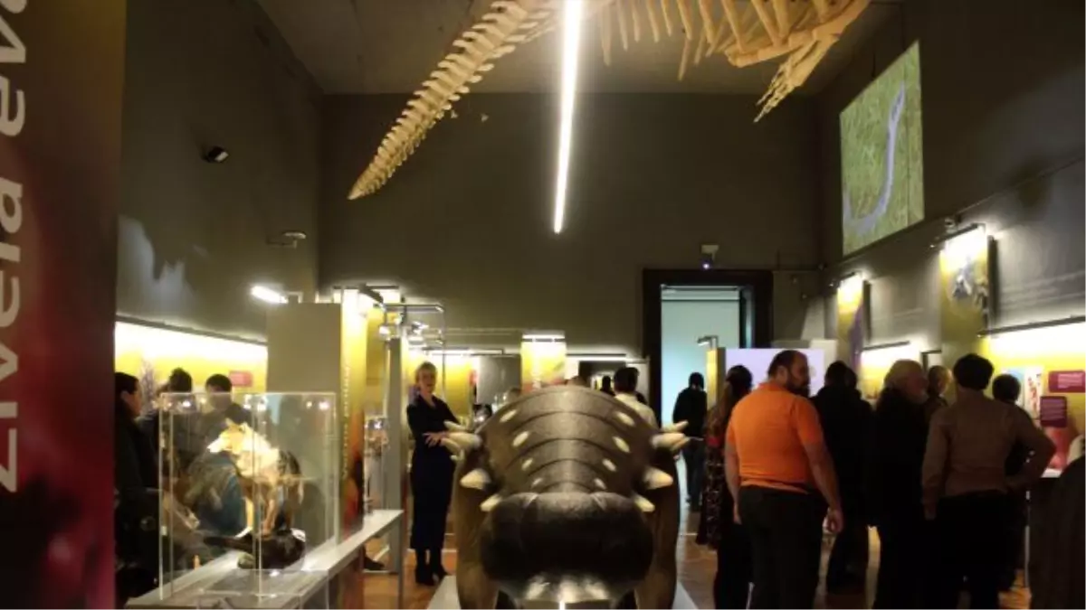 Sanja Jurca Avcı\'dan Evrim İçin Sergi