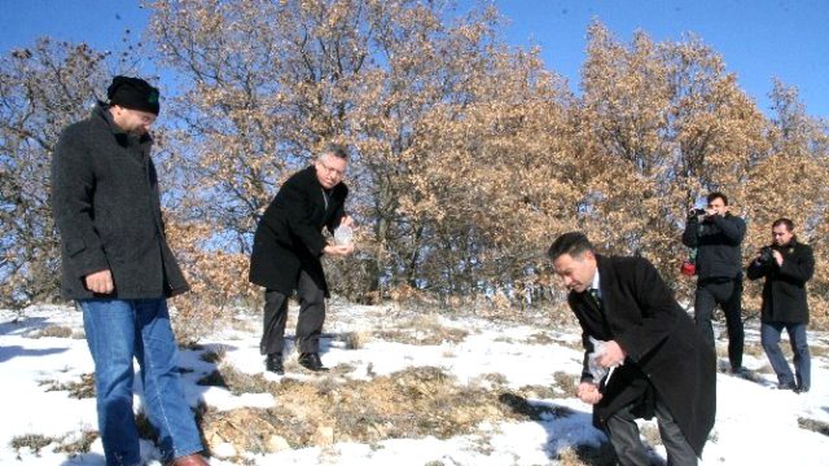 Yozgat Belediyesi Yaban Hayvanları İçin Doğaya Yem Bıraktı