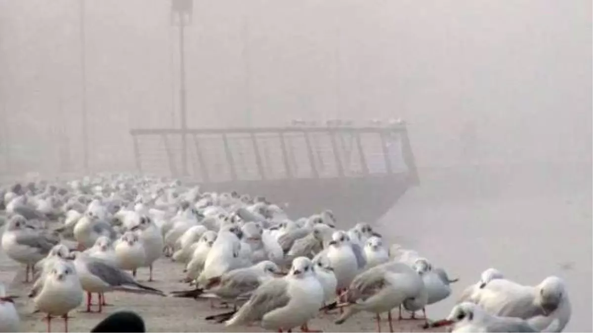 Çanakkale Boğazı Sis Nedeniyle Geçişlere Kapatıldı