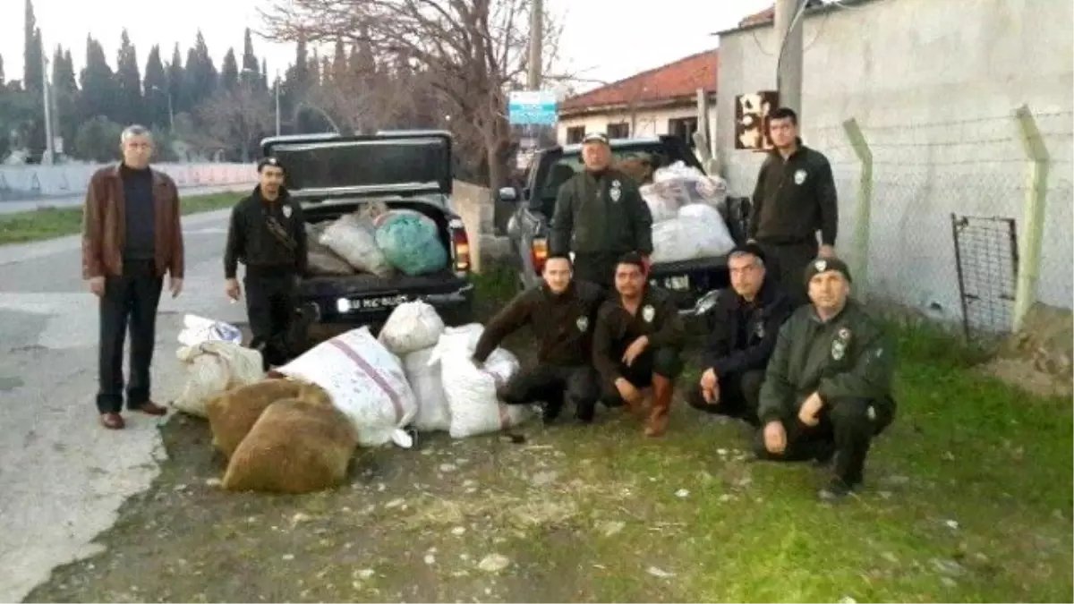 Kır Bekçileri Bir Ton Çalıntı Zeytin Ele Geçirdi