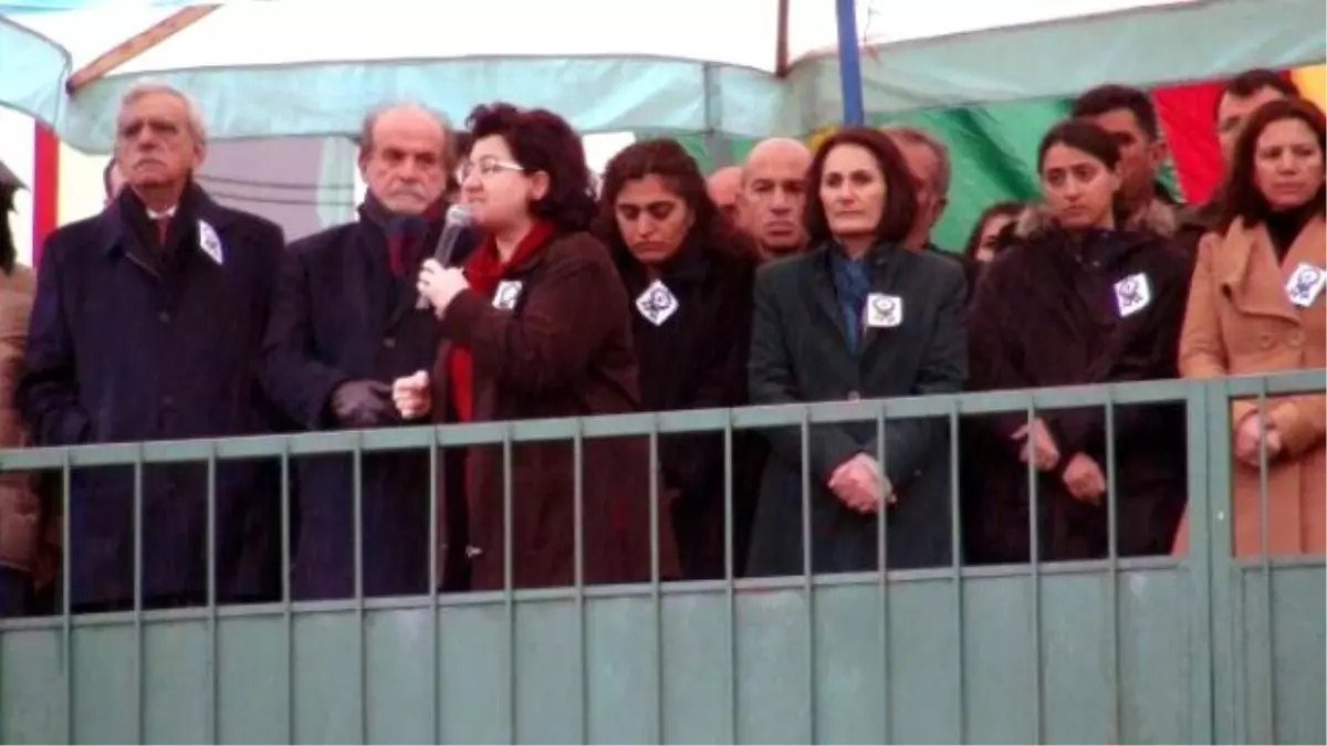 HDP ve DBP Heyeti Cizre'de