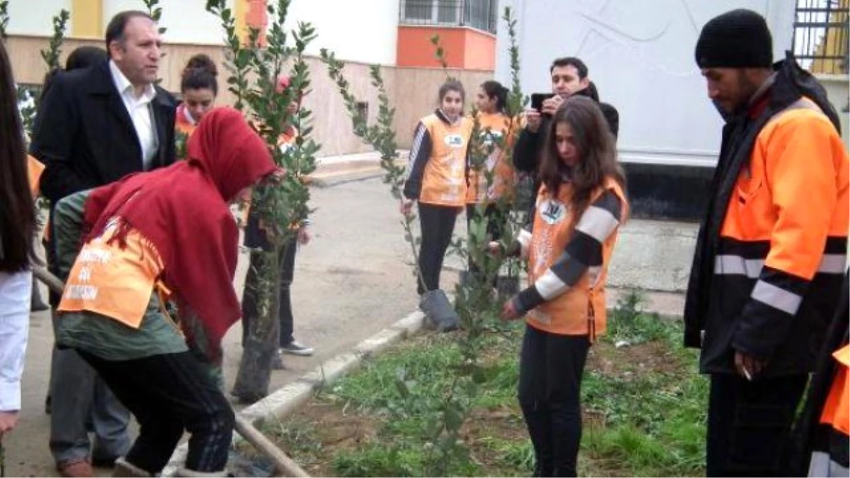 İslahiye\'de Öğrenciler Okul Bahçesine Fidan Dikti