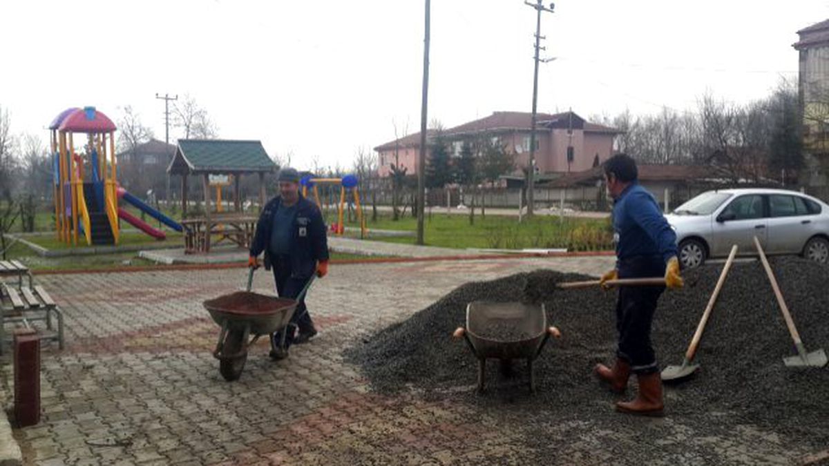 Tepetarla\'da Parke Çalışması