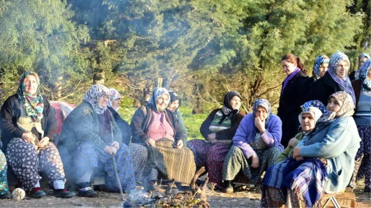 "Gönlüm De, Aklım Da Sizinle"