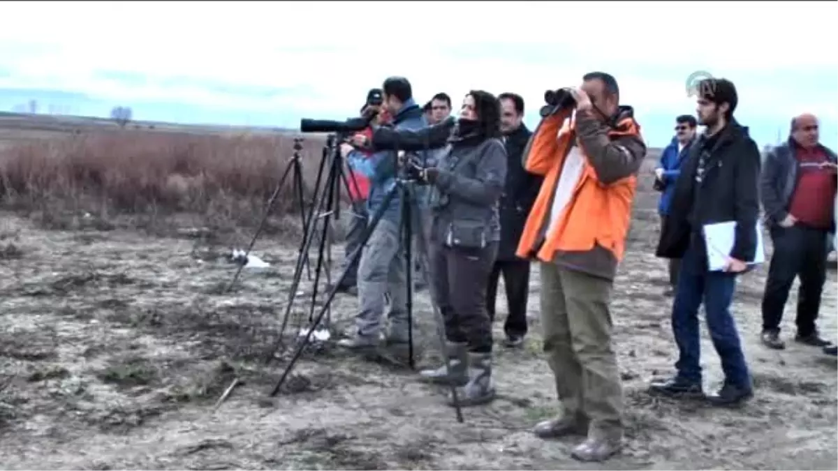 Kış Ortası Kuş Sayımı Çalışması Başladı