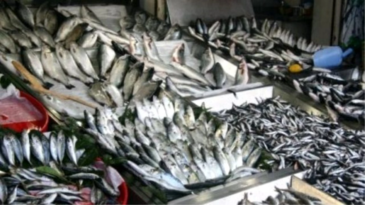 Tekirdağ\'da Havanın Isınması Balık Fiyatlarını Düşürdü