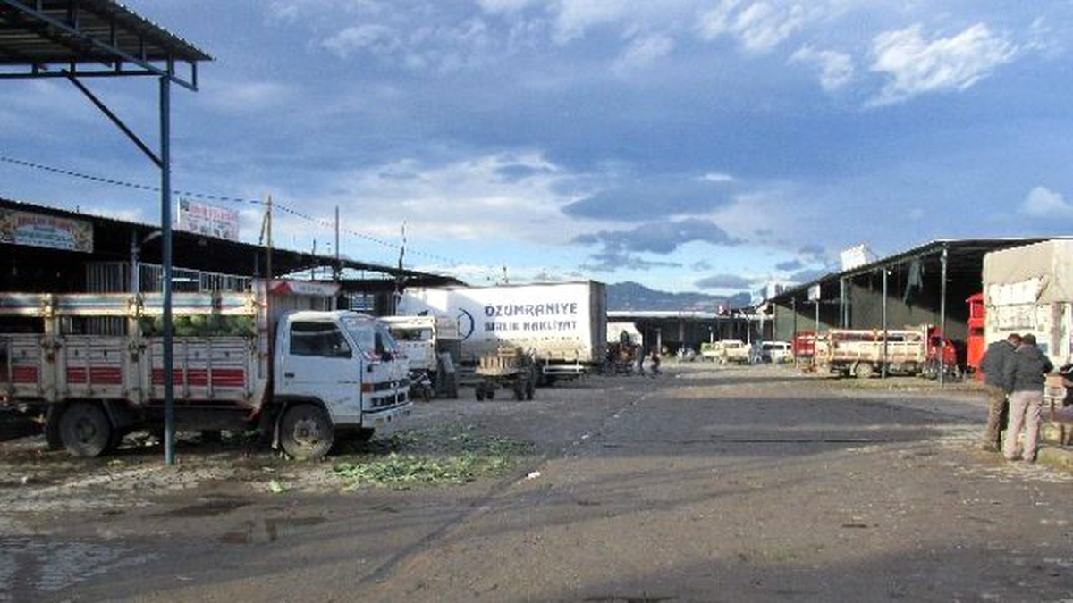 Sebze ve Meyveleri Soğuk Vurdu Acarlar Hali Sessizliğe Büründü