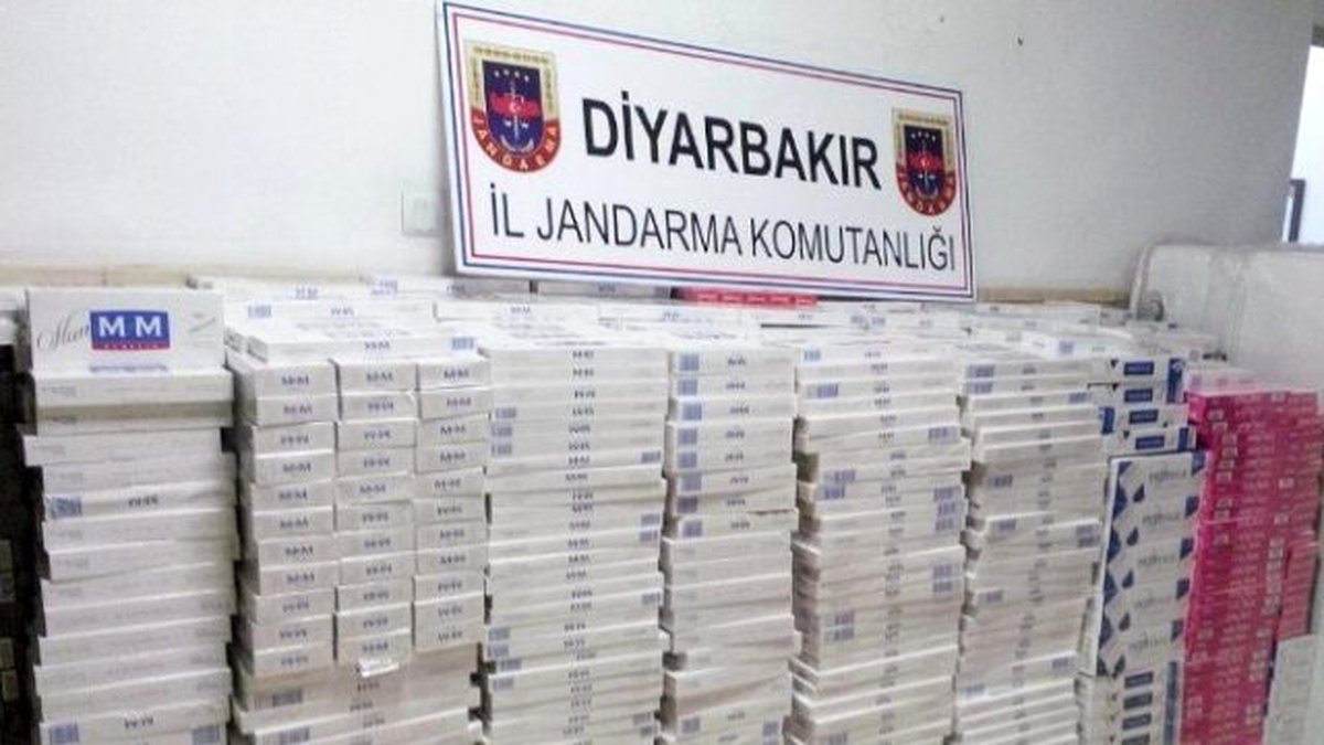 Kargo ile Kaçak Sigara Taşımacılığı Jandarmaya Takıldı