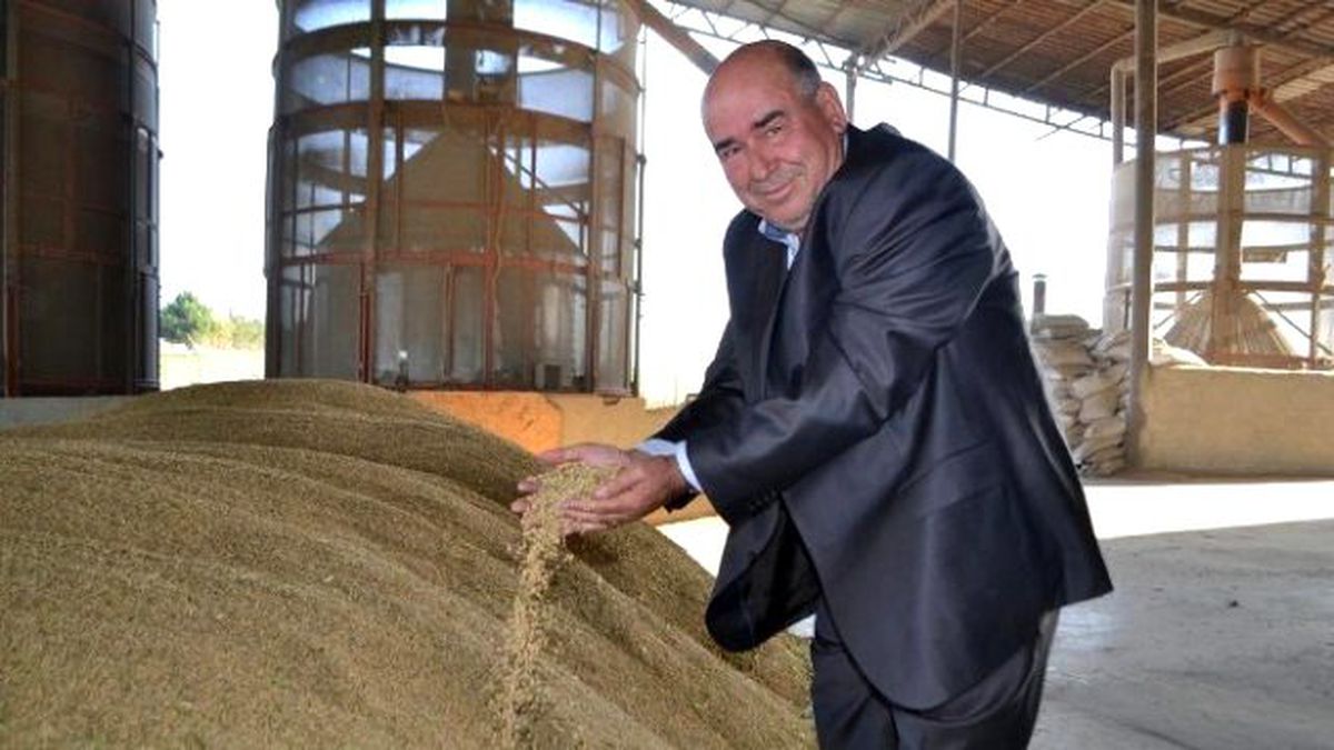 Başbakanın Pirinçte Kdv Müjdesi Üreticiyi Sevindirdi