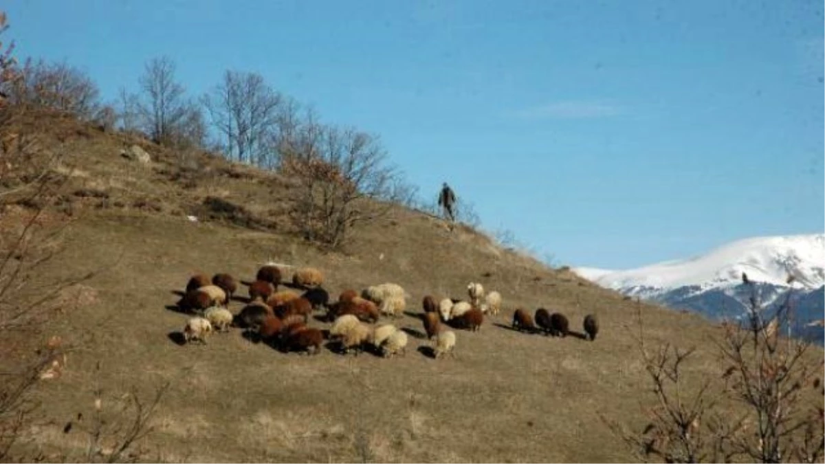 Iğdır ve Posof\'ta Bahar Havası