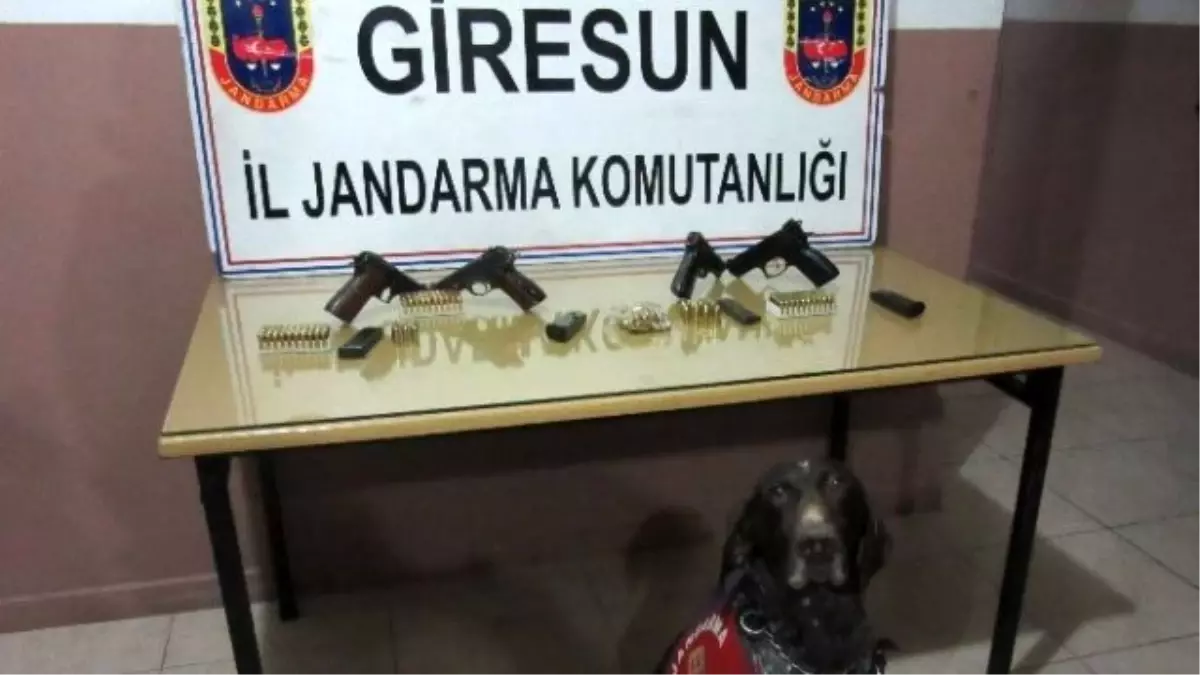 Silah Kaçakcılarını Jandarma Köpeği Yakalattı