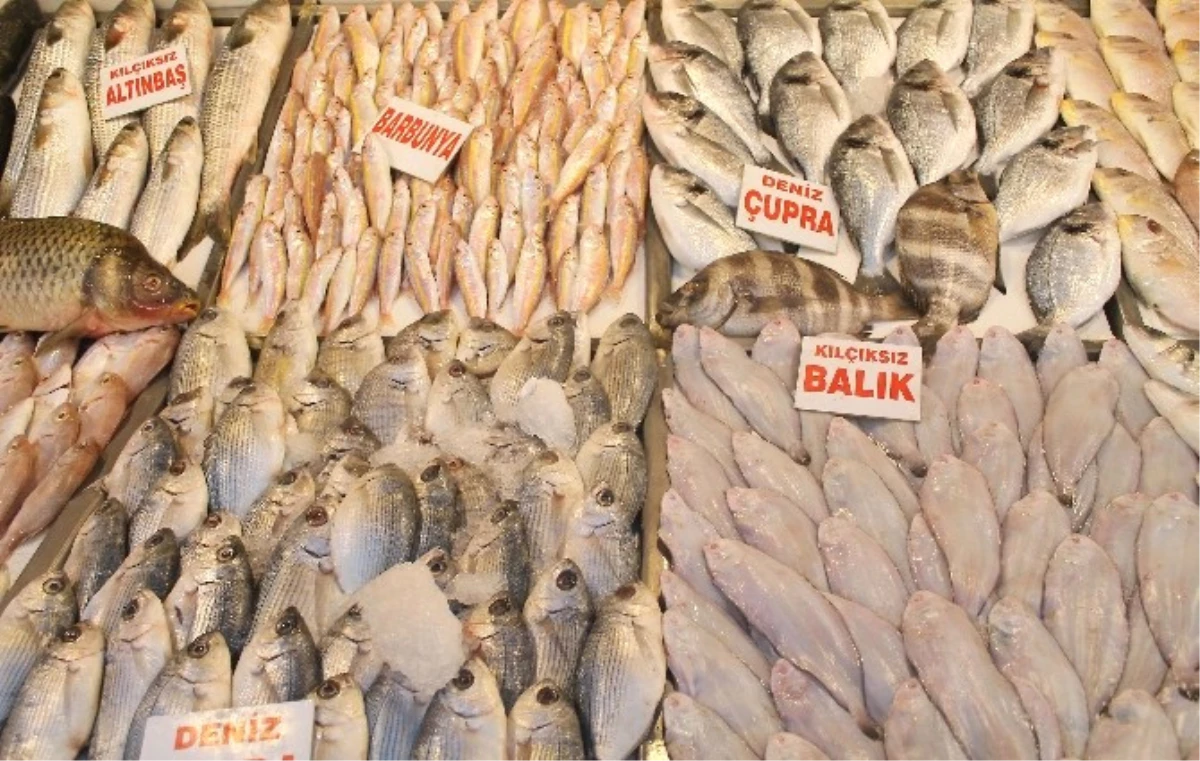 Havaların Isınmasıyla Balık Fiyatları Yarı Yarıya Düştü