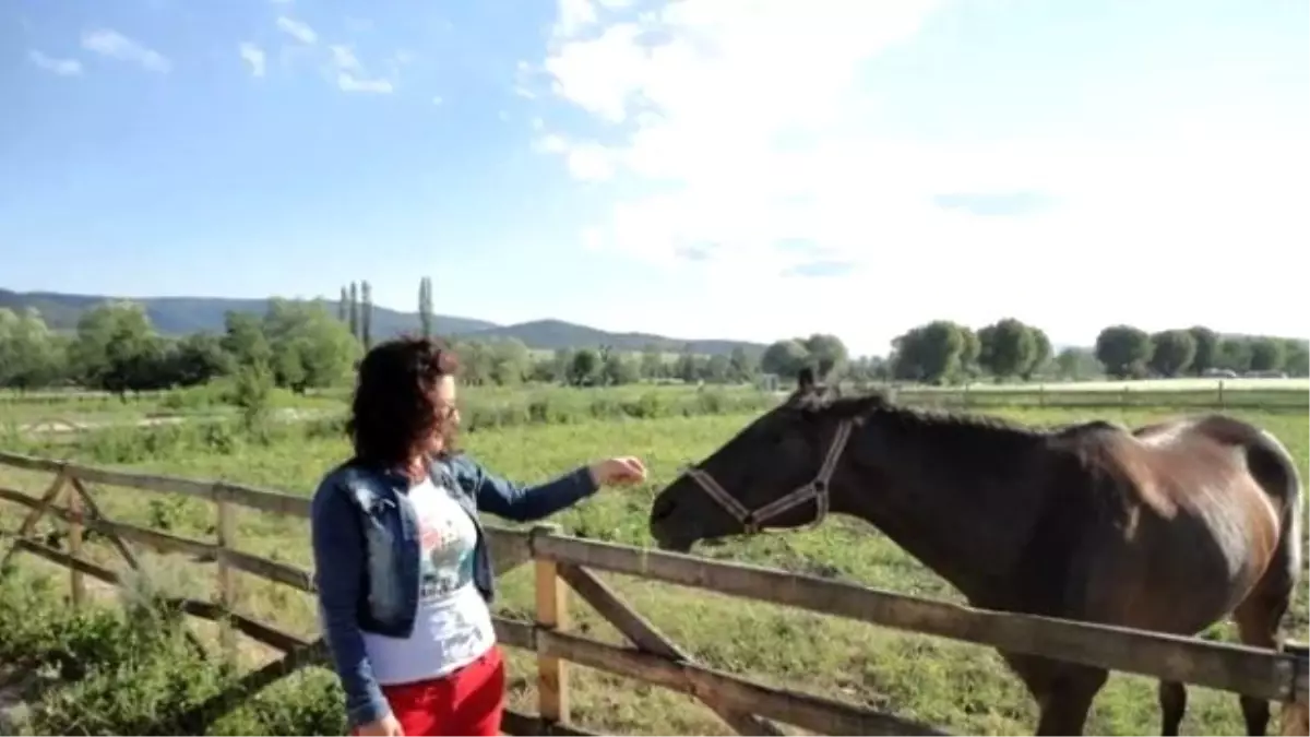 Orhan Şaik Gökyay İlkokulu ve (Kasdohaykod) İki Yeni Proje Üretti