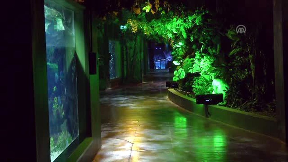 Sea Life Akvaryum Açıldı