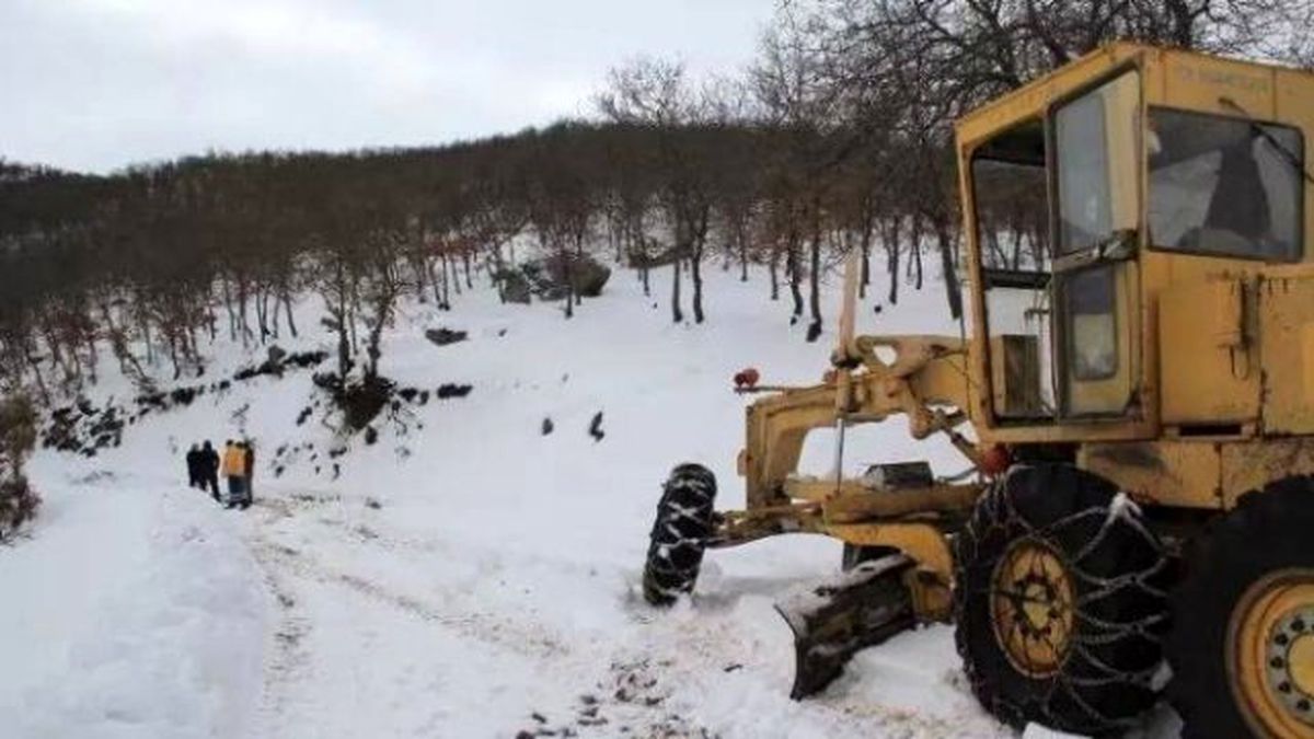 Yılkı Atlarına Kış Mevsiminde Yem Ulaştırıldı